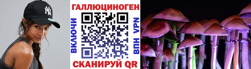 блэк спрут маркетплейс  shop наркотические препараты  Псилоцибиновые грибы Psilocybe  даркнет сайт  Цимлянск 